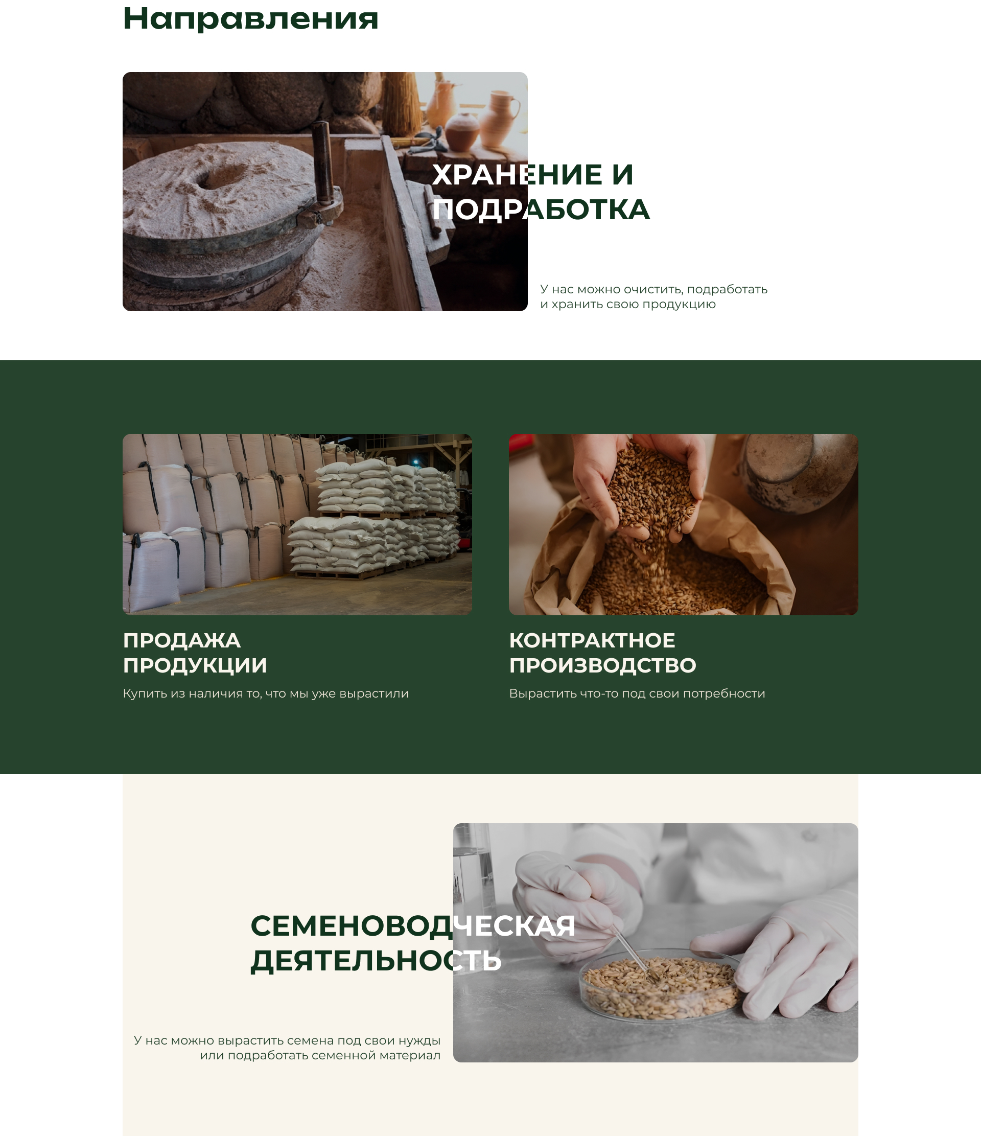 Направления компании